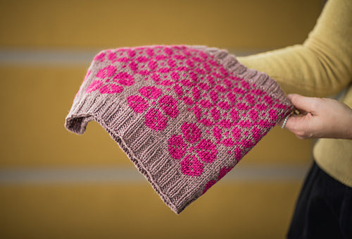 Colorwork knitting Class